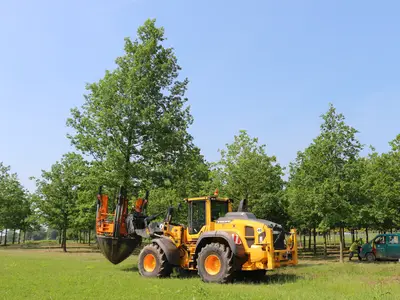 Gro&szlig;e Maschinen geh&ouml;ren auch dazu (2)