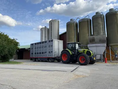 Ferkel- und Mastschweinetransport mit eigenem Viehwagen