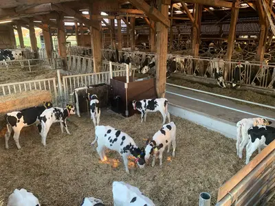 K&auml;lbergruppe am Tr&auml;nkeautomaten