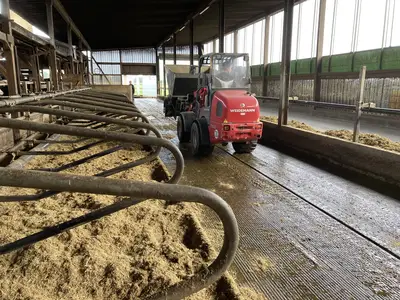 Liegeboxen einstreuen
