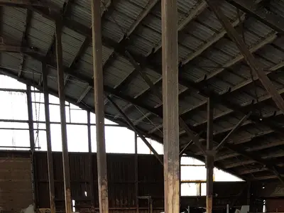 K&uuml;he f&uuml;ttern