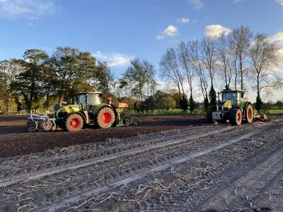 Getreideaussaat mit Amazone AD-P und Amazone Cenius Mulchsaatgrubber