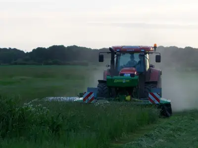Gras mähen