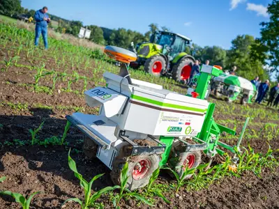 Spannende Feldtage und Workshops bei uns auf dem Hof