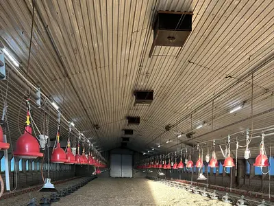 Putenstall vor dem Einstallen