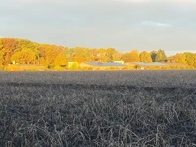 Feldansicht Stallgeb&auml;ude