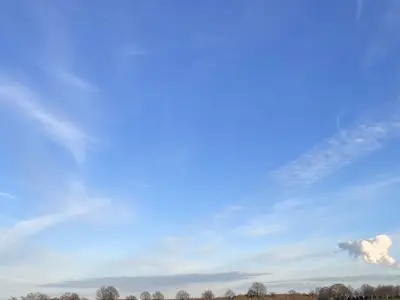 Spargelfeld mit Tunnel