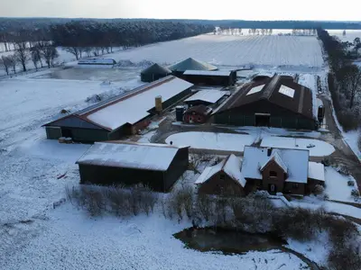 Luftbild Hofstelle