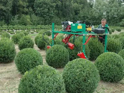 Aber auch Technik hilft beim Schnitt von Formgeh&ouml;lzen