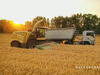 Getreide h&auml;ckseln mit MAN LKW