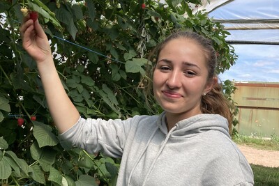 Aktivitäten im Obstbau