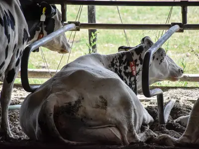 Boxenstopp mit Ausblick