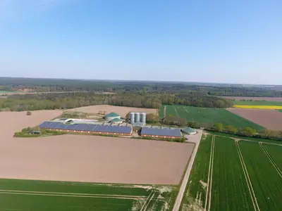 Blick auf den Schweinestall