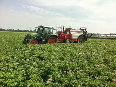 Pflanzenschutz in Kartoffeln