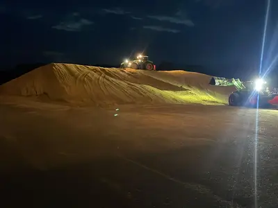 Maisernte Biogasanlage