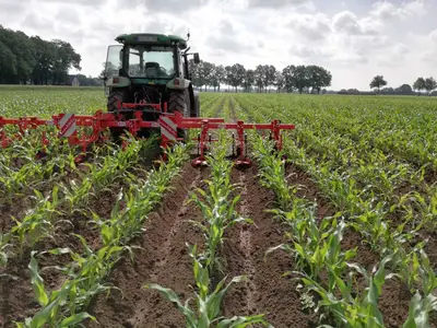 Biohof Mojenhop GbR - Hermann und Henning Borchers
