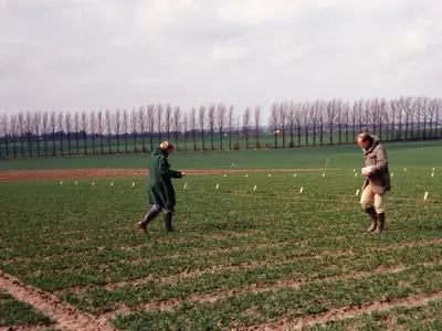 Parzellengenaues streuen mit der Hand von Minerald&uuml;nger