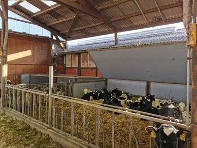 K&auml;lber versorgen