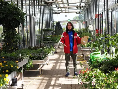 Unsere Helfer kommen - N&uuml;tzlinge zur Sch&auml;dlingsbek&auml;mpfung