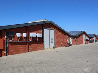 H&auml;hnchenst&auml;lle