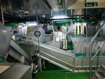 Fischverarbeitung an Board