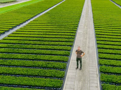 Renke zur M&uuml;hlen Pflanzen GmbH