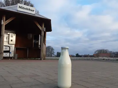 Lecker Milch an der Milchbar!