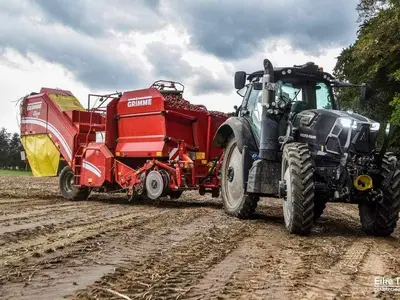 Kartoffelernte in vollem Gange