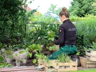 Du lernst Beete anzulegen.