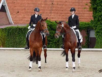 Klassische Reitausbildung