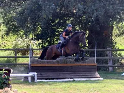 Gel&auml;ndetraining