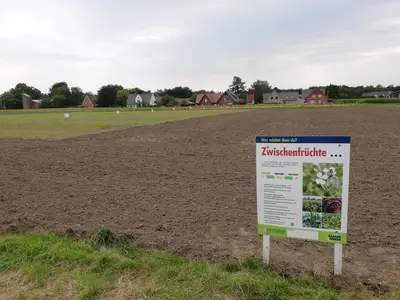 Versuch Zwischenfr&uuml;chte