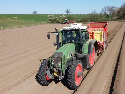 Kartoffeln Pflanzen