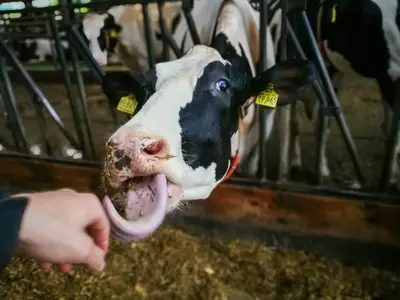 Täglich im Kontakt mit den Tieren
