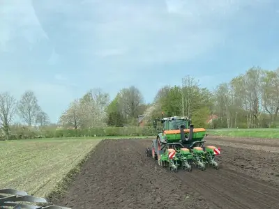 Pfl&uuml;gen und Maislegen