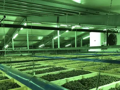 Kistenlager von oben