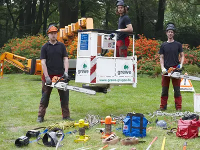 Garten- und Landschaftsbau, Team Baumpflege