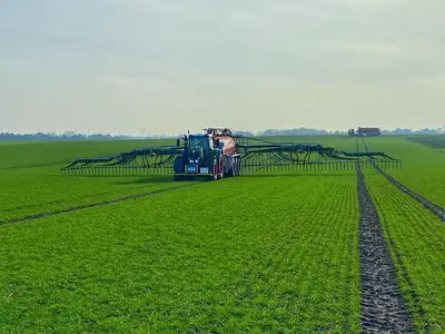 G&uuml;lled&uuml;ngung