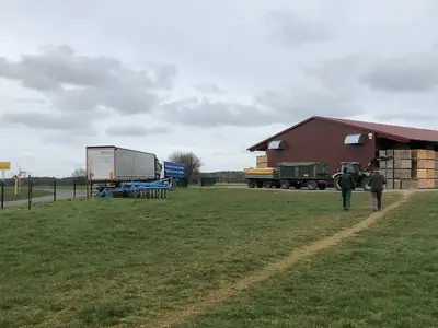 LKW wartet auf Verladung von Pflanzkartoffeln