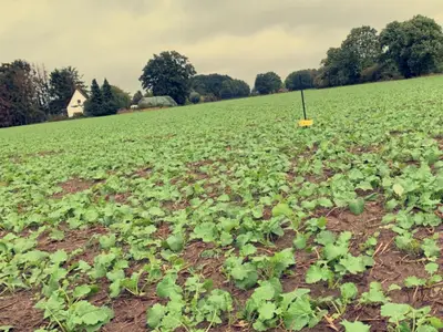 Vielseitiger Ackerbau