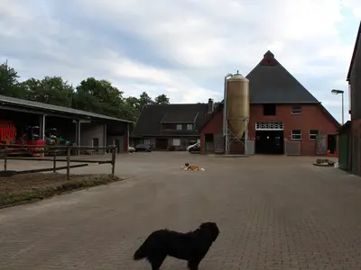 Unser Hof von vorne (2)