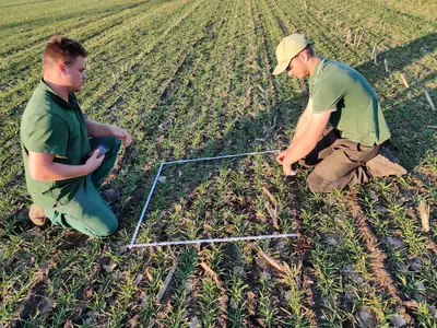 Bestand ausz&auml;hlen