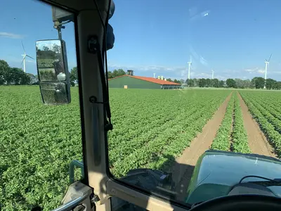 Kartoffelanbau