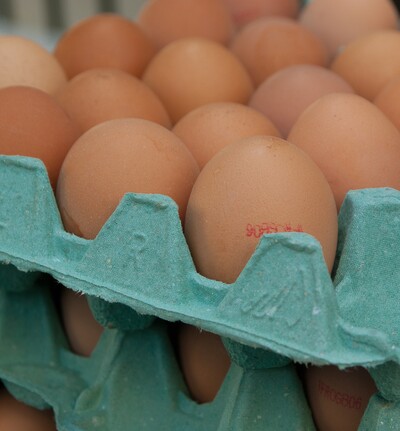 Eier