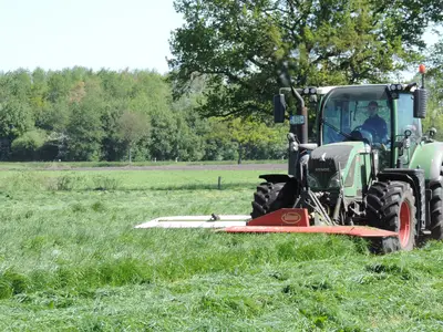 Gras mähen