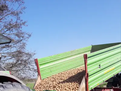 Kartoffelpflanzmaschine