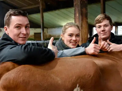 Ausbildung Topp