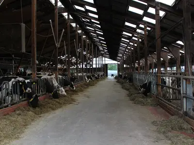 Ein Blick in den Stall