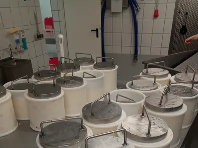 Käseproduktion