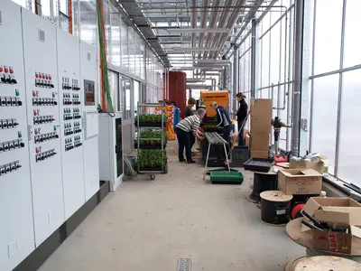 Topfen mit der Topfmaschine